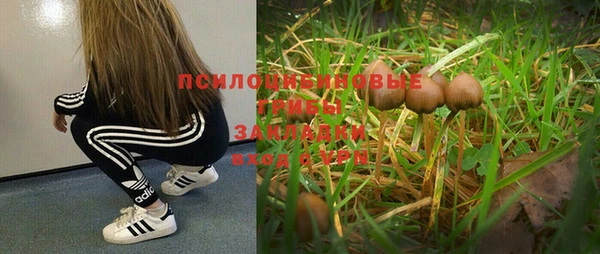 метадон Армянск