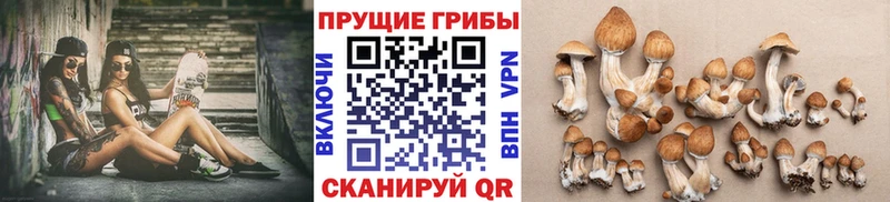Галлюциногенные грибы MAGIC MUSHROOMS  Нытва 